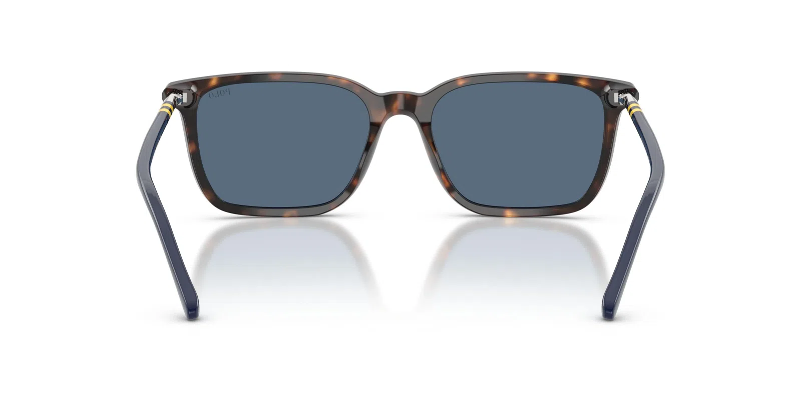 Polo 4226F Sunglasses - view 21
